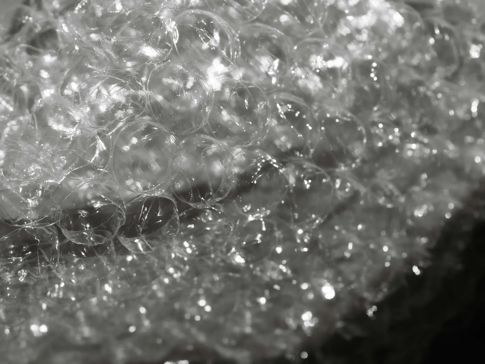 Close-up of clear bubble wrap air cells